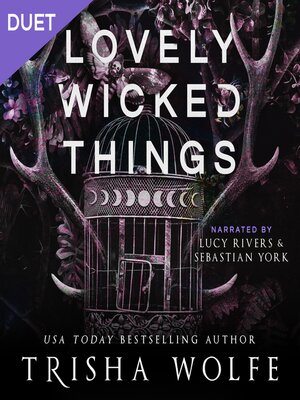 Lovely Wicked Things - Audiobook